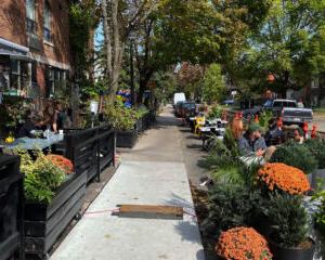 People sitting outside at Cafe TO surrounded by trees and flowers